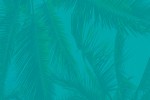 Noimage banner 4b