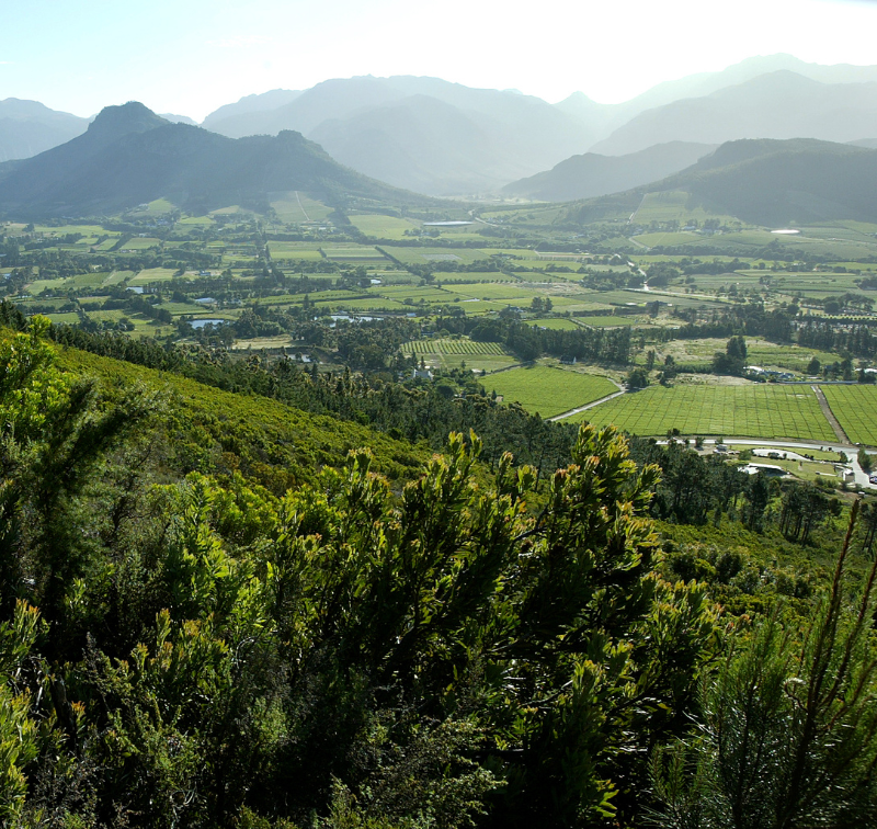 Franschhoek