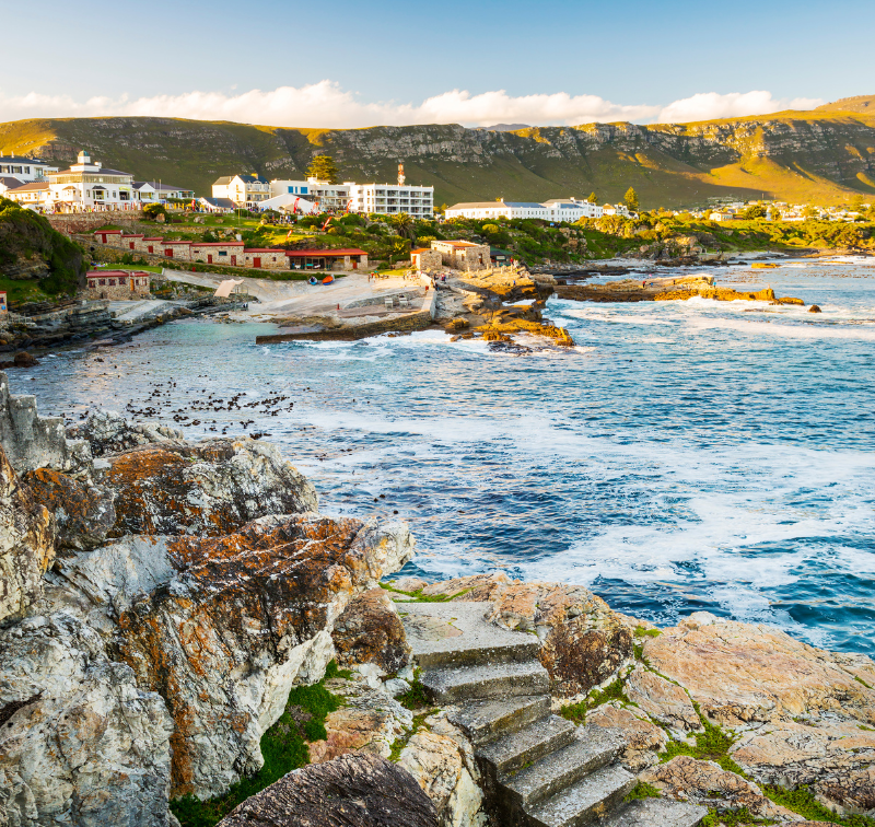 Hermanus