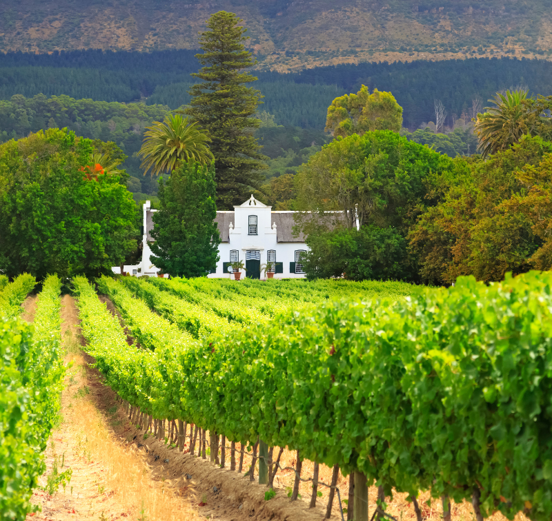 Stellenbosch