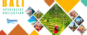 Bali Brochure Thumbnails 1000x500 v2