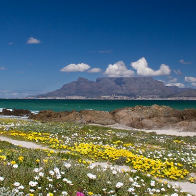 Table Mountain views