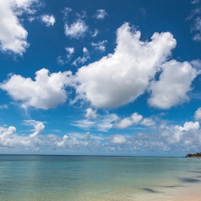 Mozambique beach