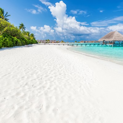 Beach bliss