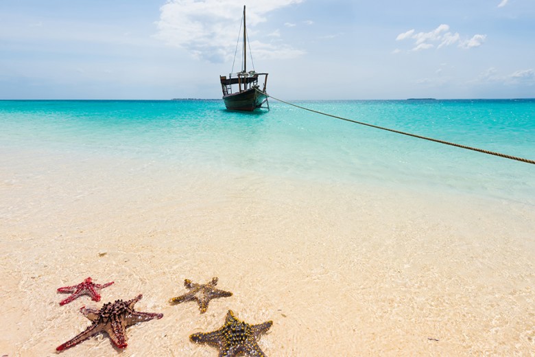 Gallery zanzibar6