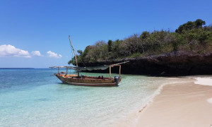 c1710271 9721 4178 95e5 7f81e08f2663