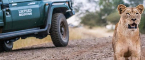 5* Leopard Mountain Safari Lodge - Near Hluhluwe Package (2 Nights)
