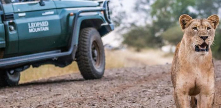 5* Leopard Mountain Safari Lodge - Near Hluhluwe Package (2 Nights)