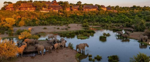 4* Victoria Falls Safari Lodge Package (3 Nights)