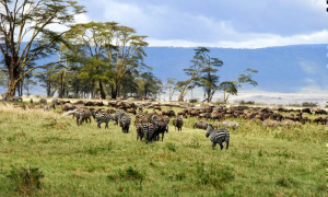 15baab46 fe0e 4fd2 825c edb93b6f44d9