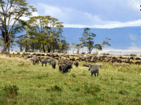 15baab46 fe0e 4fd2 825c edb93b6f44d9