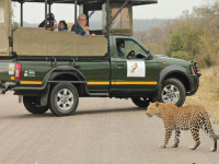 1e788fd6 60d2 4f5a b786 8d8aa5786759