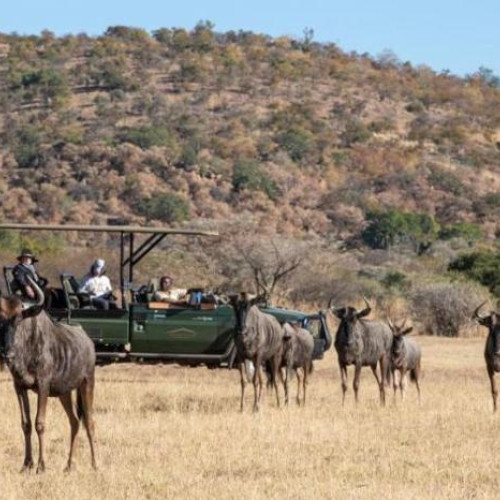 4* Safari Plains - Waterberg Package (2 Nights)
