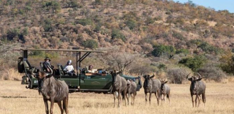 4* Safari Plains - Waterberg Package (2 Nights)