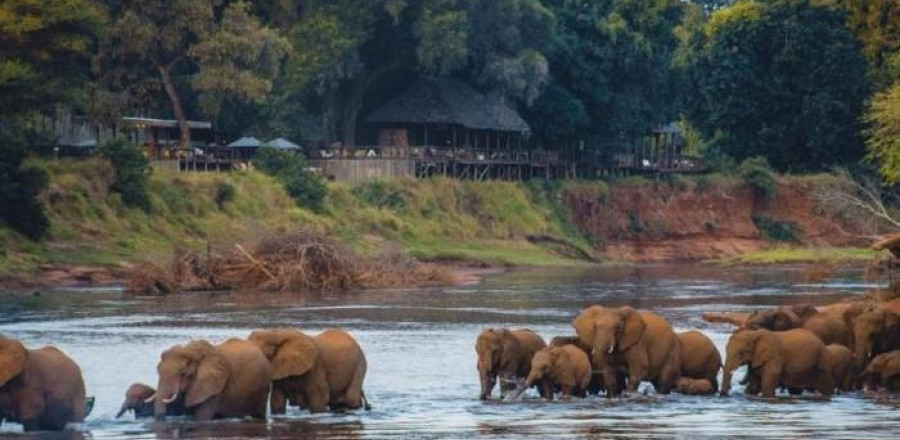 Pafuri Luxury Tented Camp - Kruger National Park Package (2 Nights)