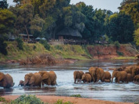 84e494af e183 4c84 9c54 4f858ce5e494