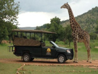 e266e99c 06b3 41d3 aff9 57f3a0bb186d