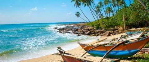 Sun, Sea & Sand: A 5-Night Sri Lanka Beach Experience