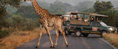 4* Kruger Gate Hotel - Kruger National Park Family Package (3 Nights)