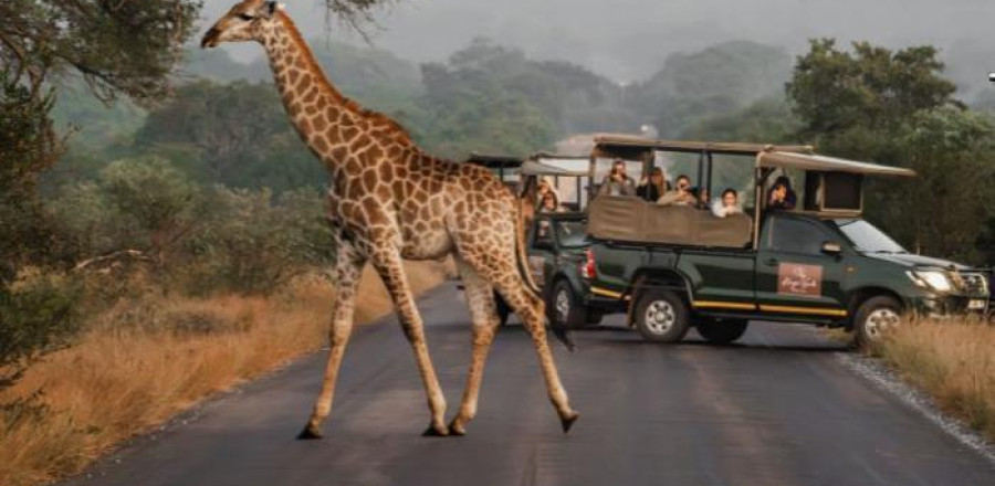 4* Kruger Gate Hotel - Kruger National Park Family Package (3 Nights)