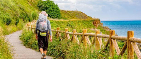 Walk the Sacred Camino Pilgrimage: A 6-Night Spiritual Journey from Sarria to Santiago de Compostela