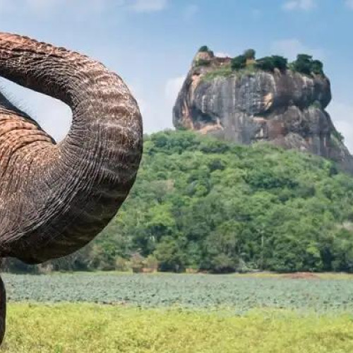 7 Nights, Endless Wonders: Classic Sri Lanka Awaits