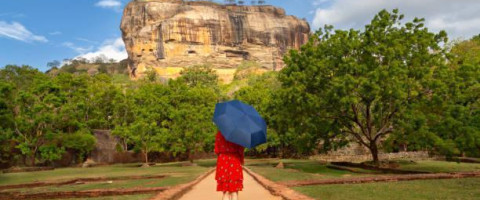Experience Sri Lanka: 7 Nights of Culture, Nature & Adventure