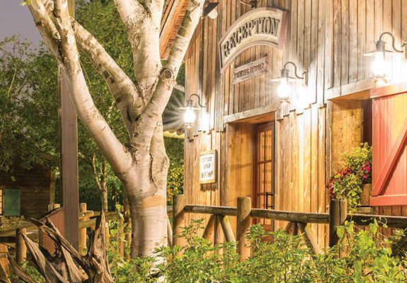 Paris and Disney's Davy Crockett Ranch Experience - France Family Package (5 Nights)