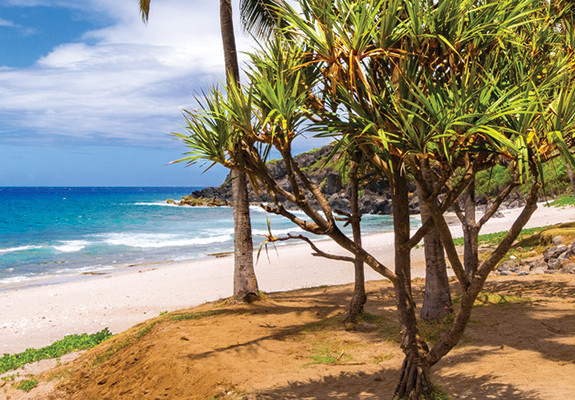 Standard Self-Drive -Reunion Package (7 Nights)