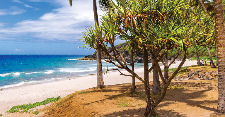 Standard Self-Drive -Reunion Package (7 Nights)