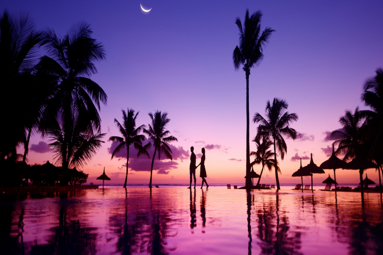 TH Blog banner 1