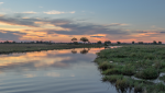 TH Blog banner 2024 12 02T122946.618