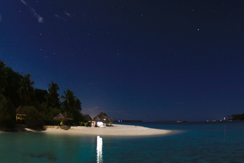TH Blog banner 86