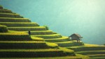 agriculture 1807581 1280